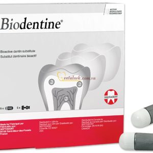 Biodentine điều trị thủng chóp
