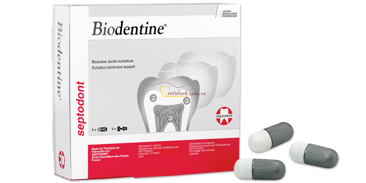 Biodentine điều trị thủng chóp