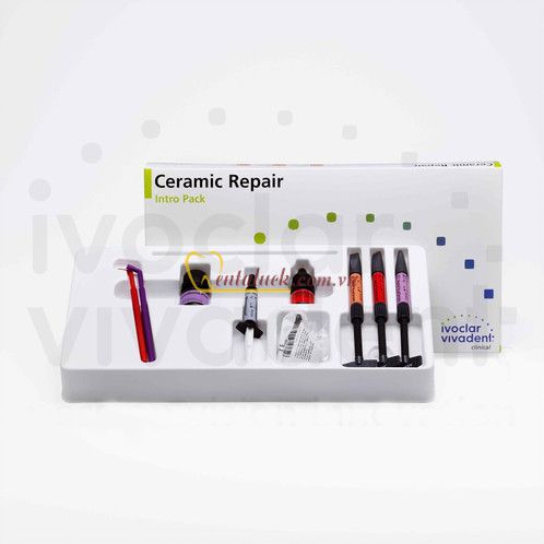 Ceramic Repair System Kit