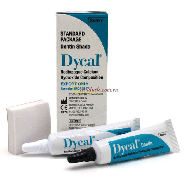 Che tủy Dycal Standard Package màu ngà