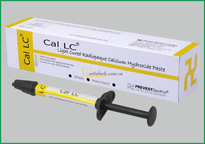 Che tủy Light Cured Cal LC 2g