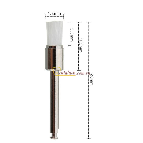 Chổi đánh bóng răng TPC