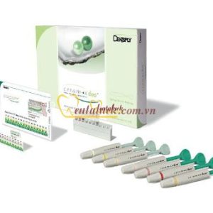 Composite Ceram X Syringe 3g (E1-E3;D1-D4)