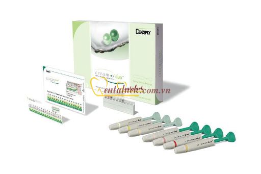 Composite Ceram X Syringe 3g (E1-E3;D1-D4)