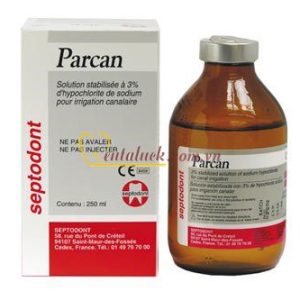 DD bơm rửa ống tủy Parcan Septodont 250ml