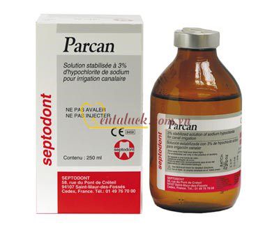 DD bơm rửa ống tủy Parcan Septodont 250ml
