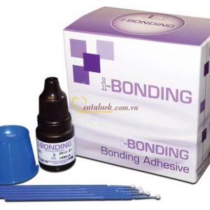Keo dán I-Bonding 6g