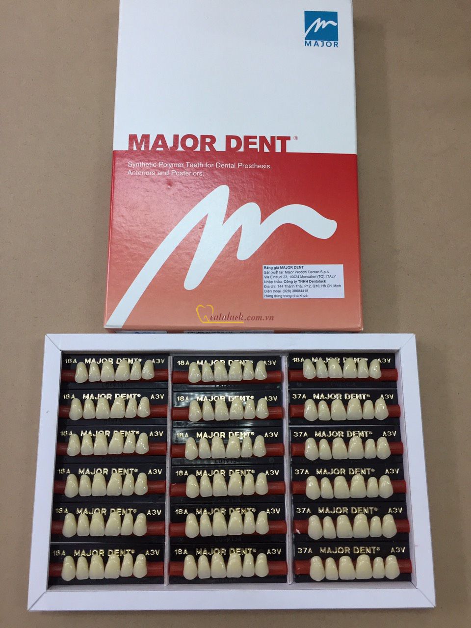 Răng Nhựa 2 Lớp MAJOR DENT – Màu A1