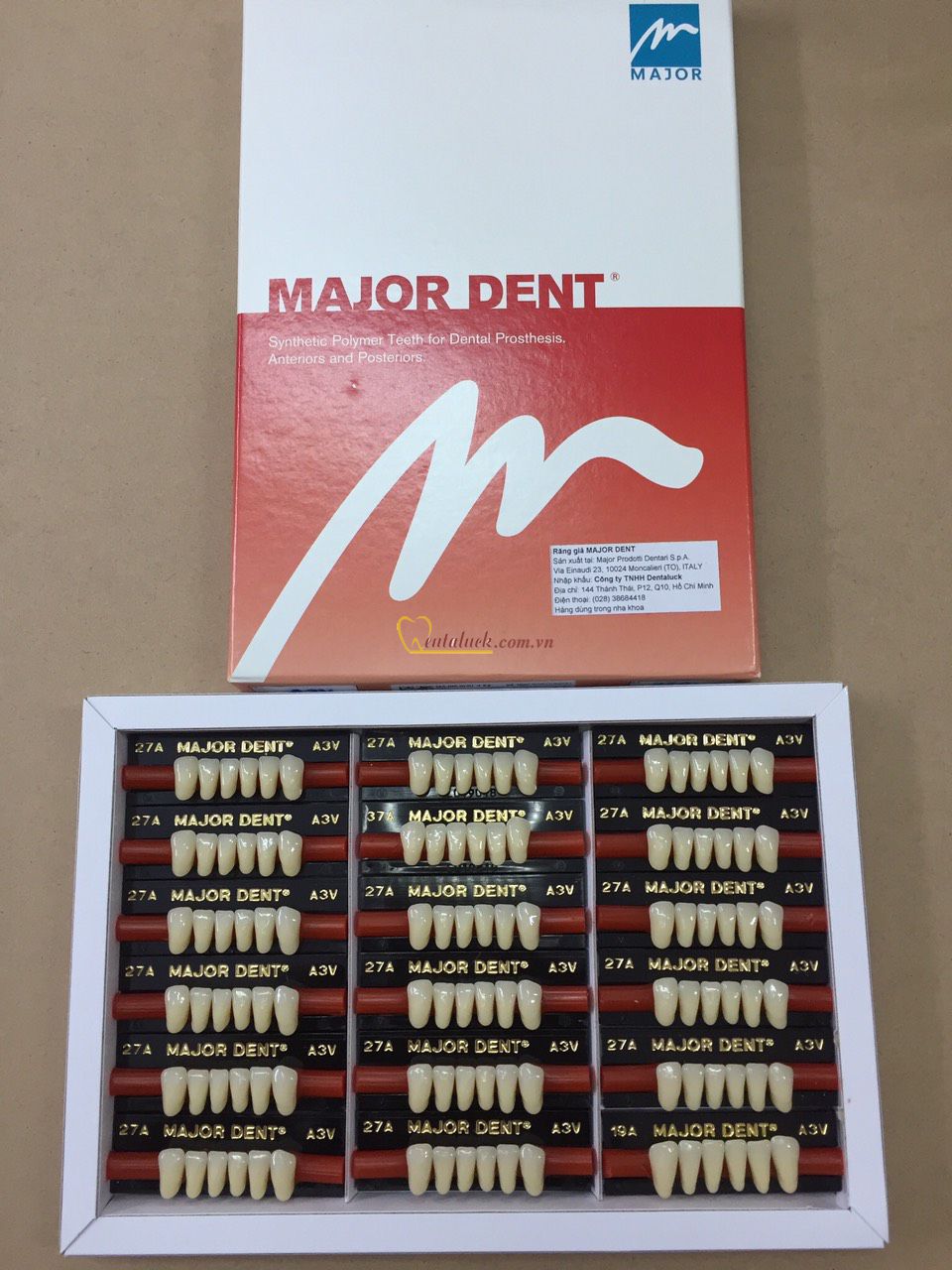 Răng Nhựa 2 Lớp MAJOR DENT – Màu A1