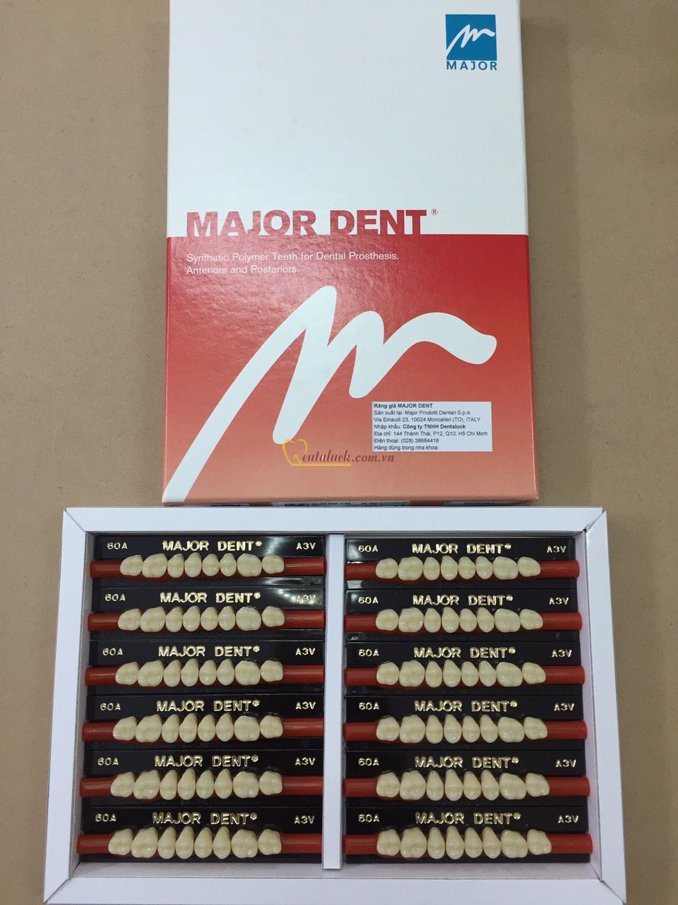 Răng Nhựa 2 Lớp MAJOR DENT – Màu A1