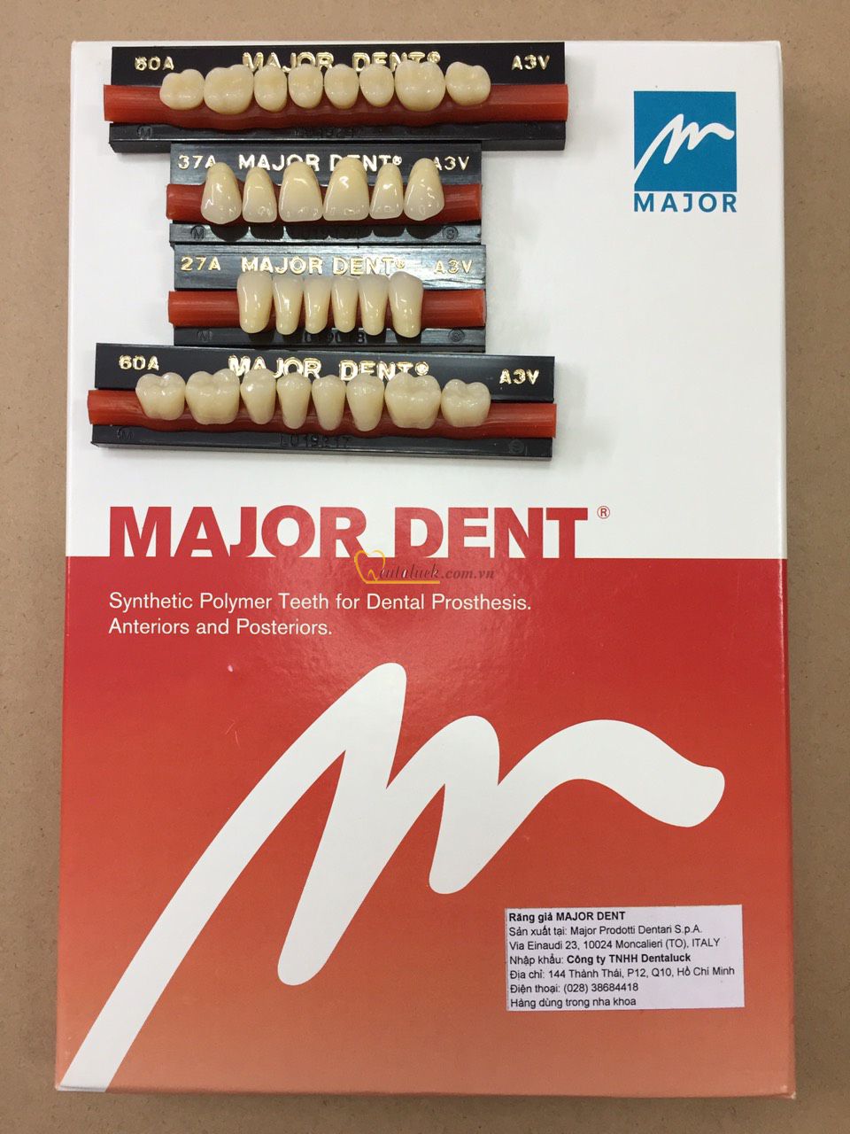 Răng Nhựa 2 Lớp MAJOR DENT – Màu A1