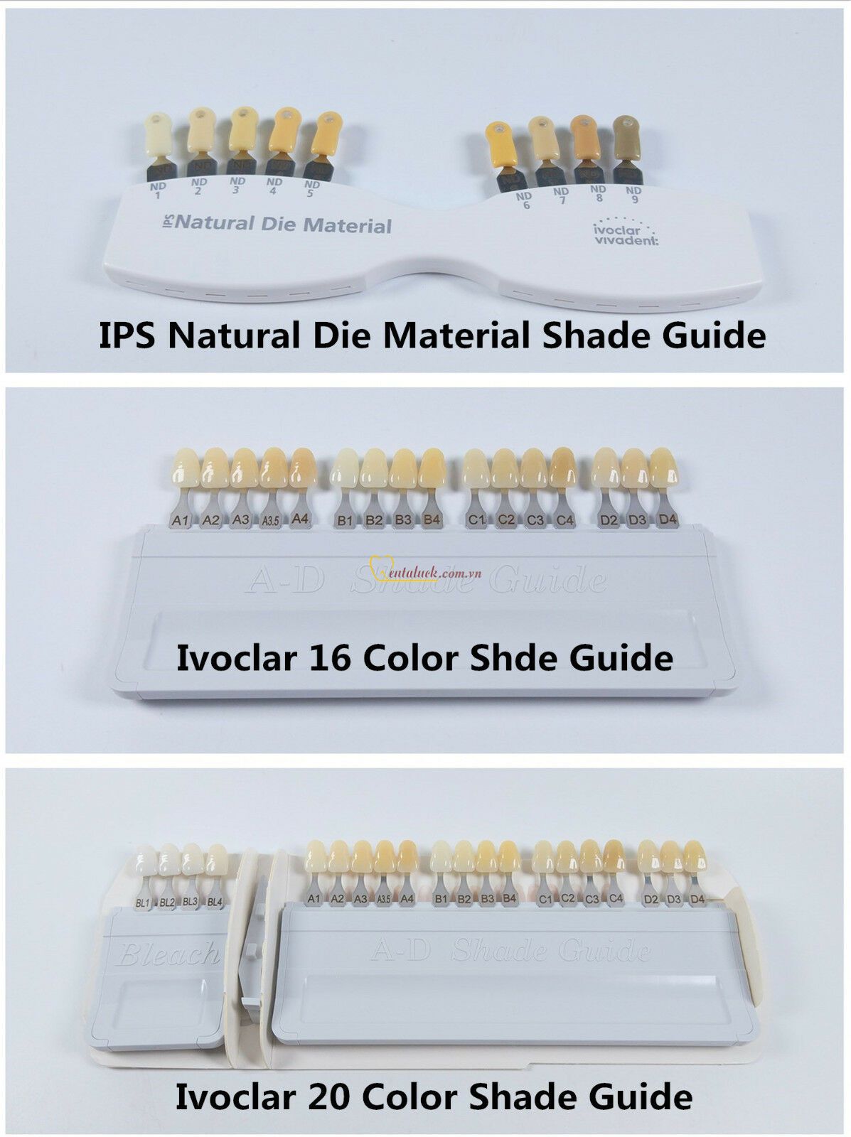 Bảng so màu cùi Verneer Natural die Shade Guide