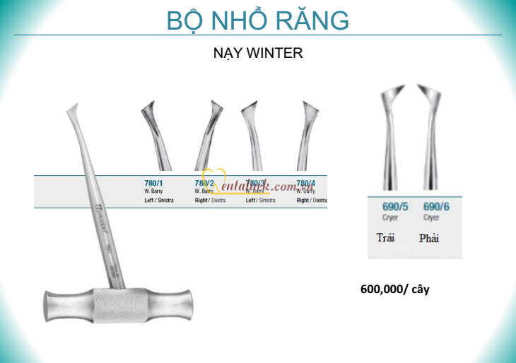 Nạy Winter