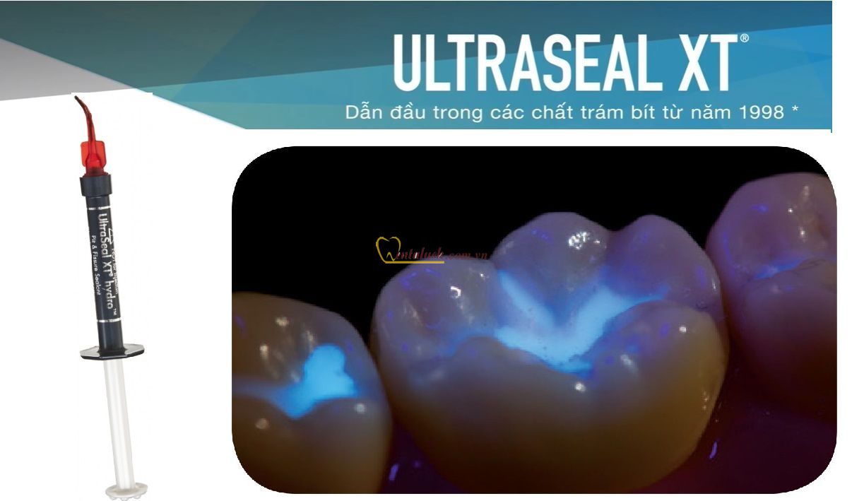 Trám bít hố rãnh UltraSeal XT HYDRO