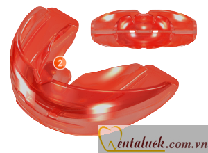 Trainer For Alignment T4A Phase 2