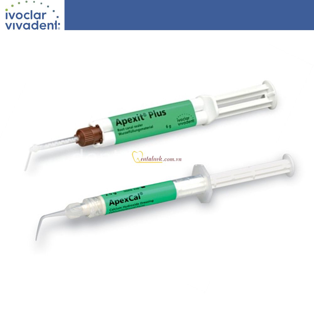 Apexcal – Canxi hydroxit dạng past