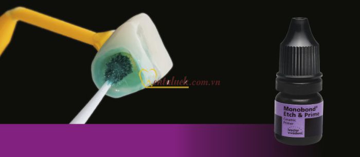 Monobond Etch & Prime Refill 5g