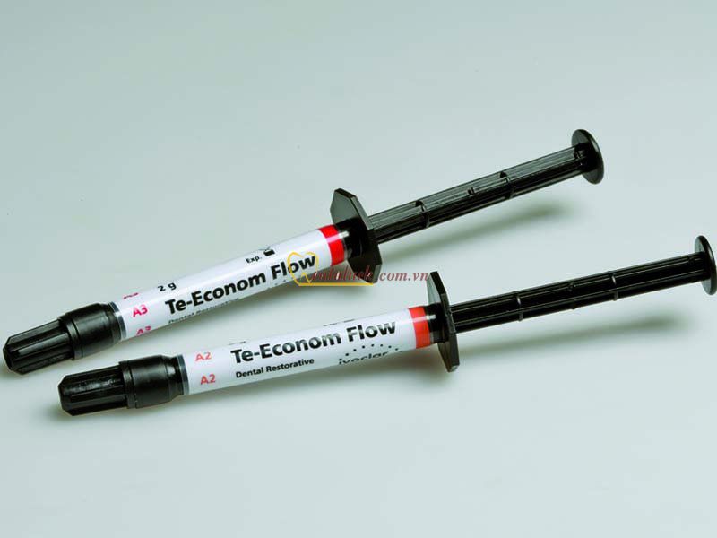Te-econom Flow