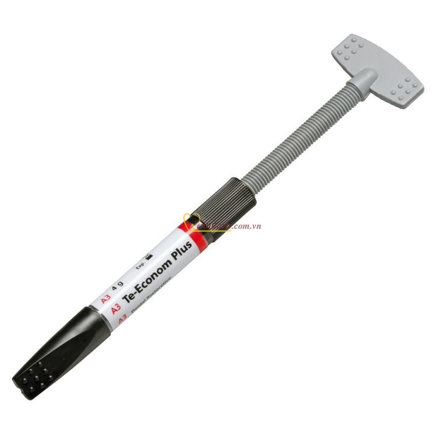 Te-econom Plus