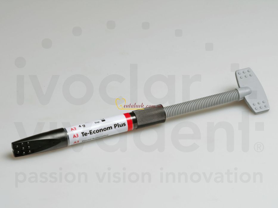 Te-econom Plus