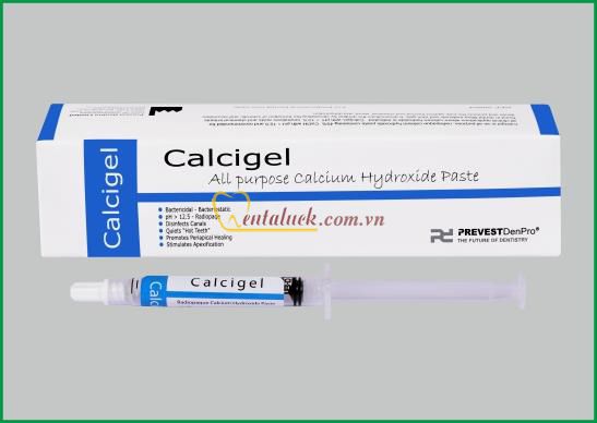 Che tủy trám lót Calcigel 2g
