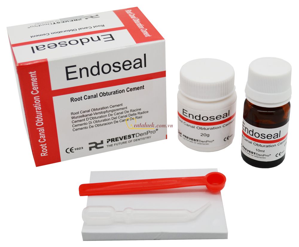 Endoseal bít tủy (20g:10ml)