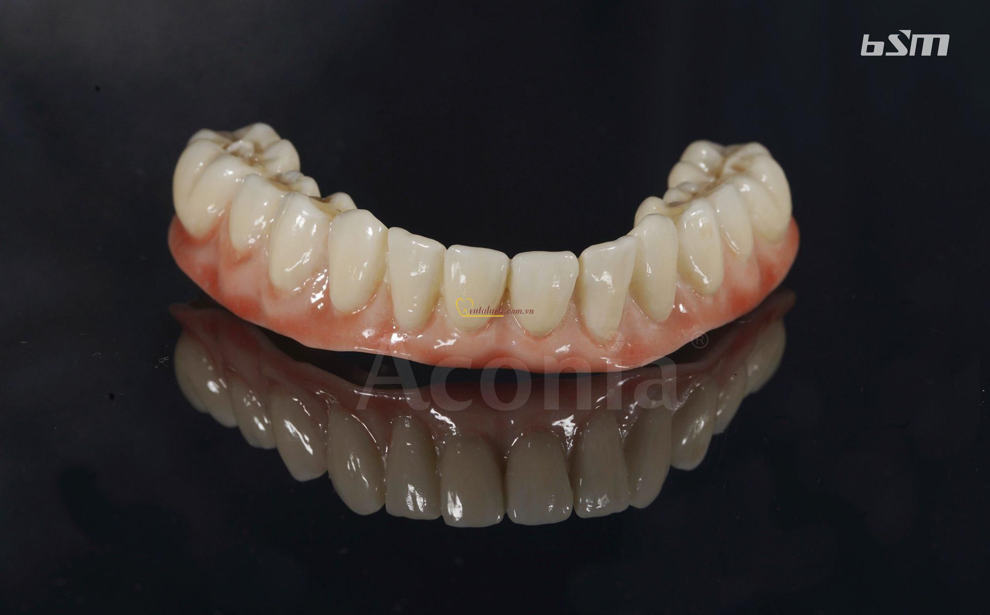 Zirconia Aconia ST BSM-D98*10
