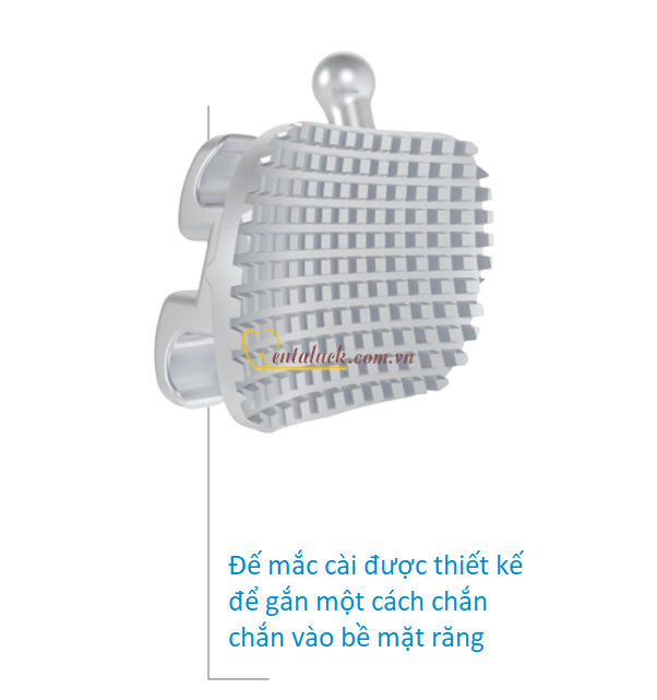 Mắc cài MASEL Bravo Primo