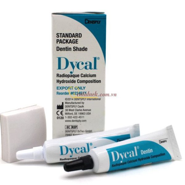 Che tủy Dycal Standard Package màu ngà