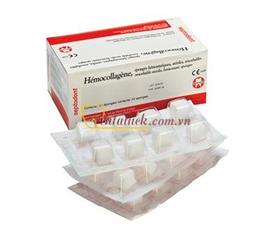 Cầm máu miếng xốp Hemocollagene sponges